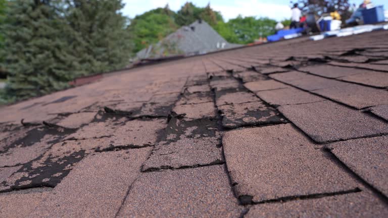 Best Green or Eco-Friendly Roofing Solutions  in Lewisburg, KY