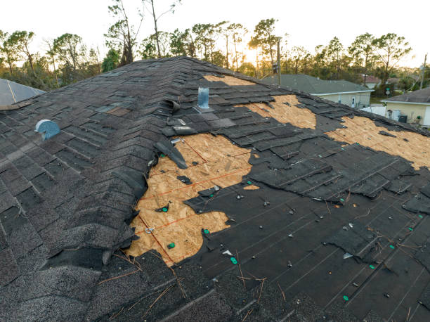 Best Roof Insulation Installation  in Lewisburg, KY