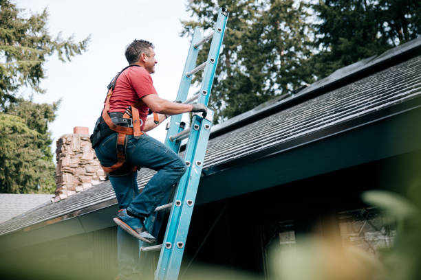 Best Steel Roofing  in Lewisburg, KY