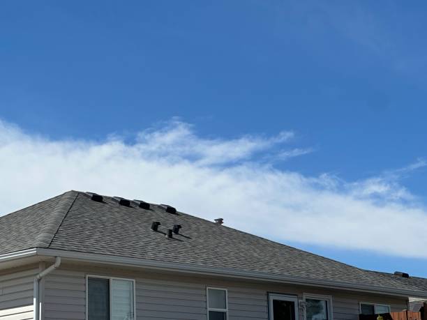 Best Metal Roofing Installation  in Lewisburg, KY